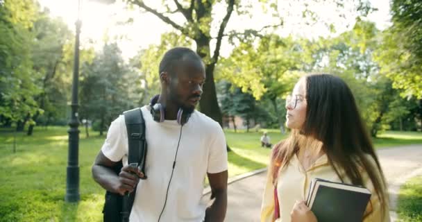 Estudiantes multiraciales charlando en el parque — Vídeo de stock