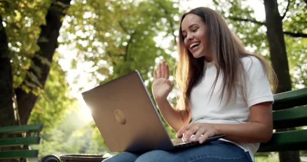 妇女有视频聊天在笔记本电脑在公园 — 图库视频影像