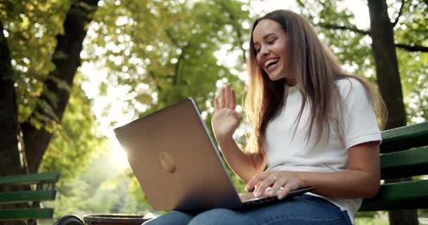 Donna che ha Videochat sul computer portatile nel parco — Video Stock