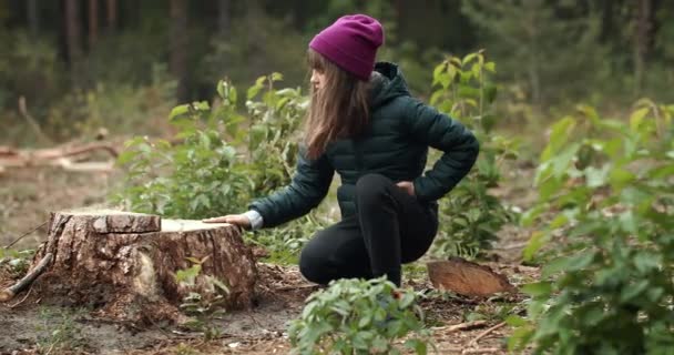 Soucit s odřezaný strom — Stock video