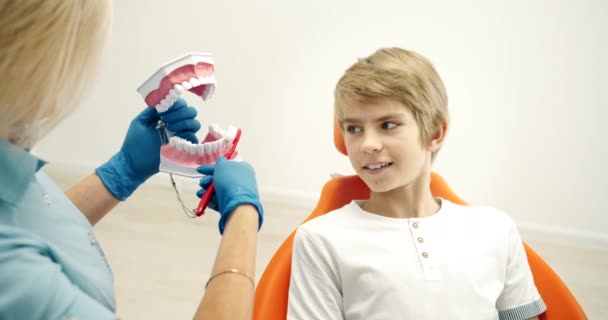 Zubař představující zuby uklízeči — Stock video