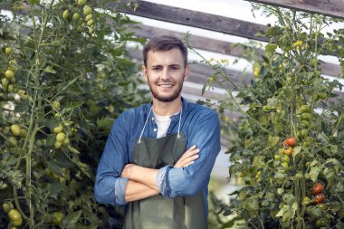 Memnun Erkek Çiftçi Serada Pozisyon