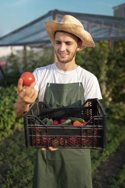 Jeune beau barbu agriculteur estimation de la récolte — Photo