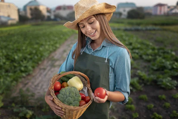 Belle jardinière avec un panier de légumes — Photo