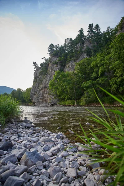 Mountain Landscape River Trees — Stock Photo, Image