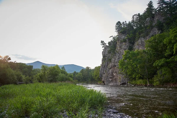 Krásná Horská Krajina Řekou Stromy — Stock fotografie