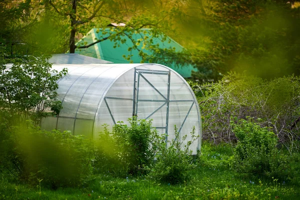 Небольшой Зеленый Дом Летнем Саду — стоковое фото