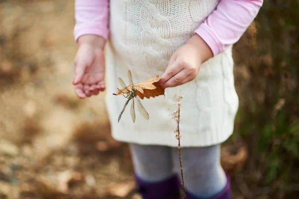 Little Girl Holding Leaf Dragonfly Stock Picture