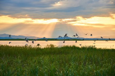 Yaz gölünün üzerinde güzel bir gün batımı.