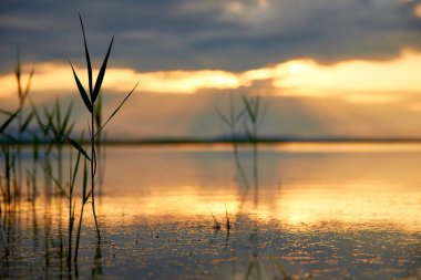 Yaz gölünün üzerinde güzel bir gün batımı.