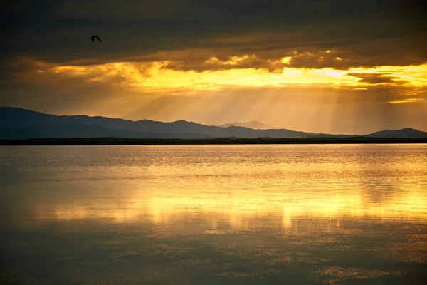 Hermoso Atardecer Sobre Lago Verano — Foto de Stock