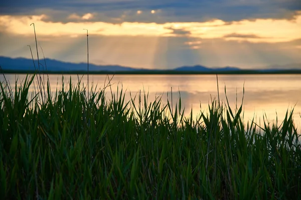 Belo Pôr Sol Sobre Lago Verão — Fotografia de Stock