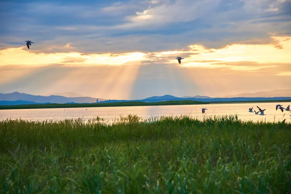 Belo Pôr Sol Sobre Lago Verão — Fotografia de Stock