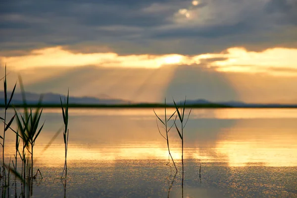 Hermoso Atardecer Sobre Lago Verano — Foto de Stock