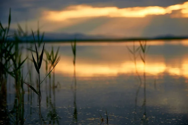 Schöner Sonnenuntergang Über Dem Sommersee — Stockfoto