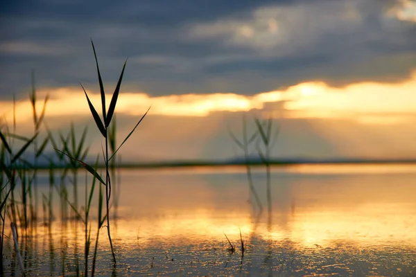 Schöner Sonnenuntergang Über Dem Sommersee — Stockfoto