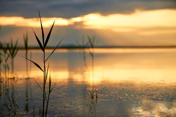 Krásný Západ Slunce Nad Letním Jezerem — Stock fotografie