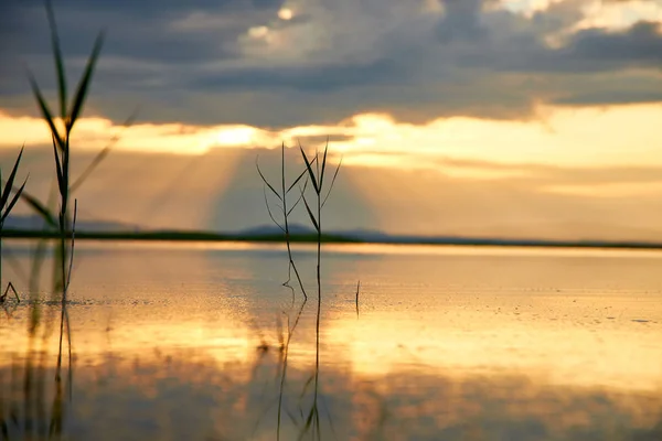 Belo Pôr Sol Sobre Lago Verão — Fotografia de Stock