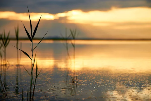 Schöner Sonnenuntergang Über Dem Sommersee — Stockfoto