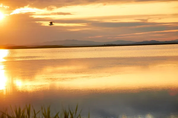 Prachtige Landschap Crimson Zon Afdaalt Naar Zee — Stockfoto