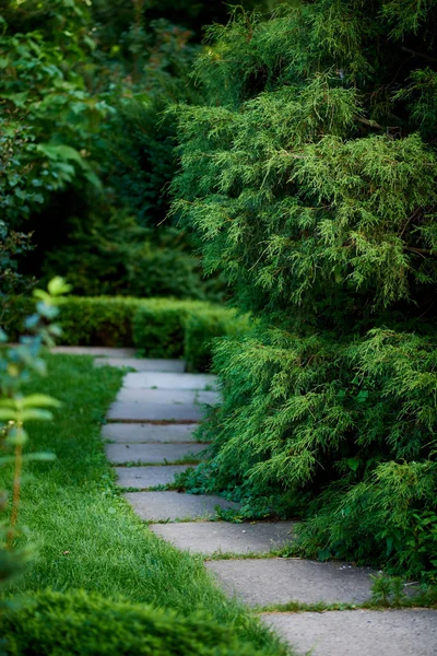 Path Park Summer Day — Stock Photo, Image