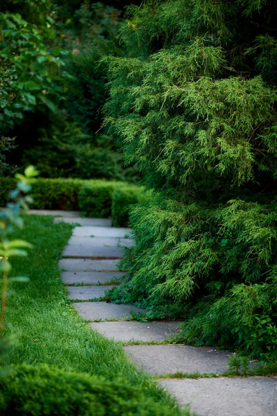 Path Park Summer Day — Stock Photo, Image