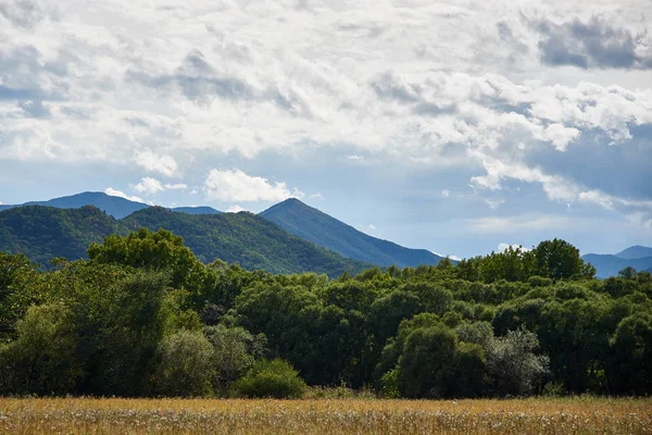 Όμορφο Τοπίο Της Φύσης Δέντρα Και Βουνά — Φωτογραφία Αρχείου