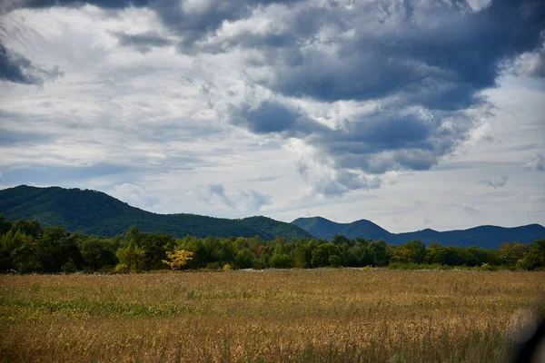 Hermosa Naturaleza Paisaje Con Árboles Montañas —  Fotos de Stock