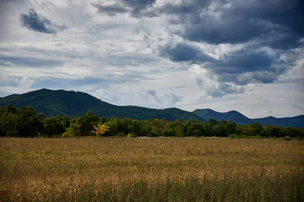 Bela Paisagem Natureza Com Árvores Montanhas — Fotografia de Stock