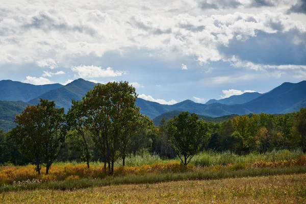 Hermoso Paisaje Natural Con Árboles —  Fotos de Stock