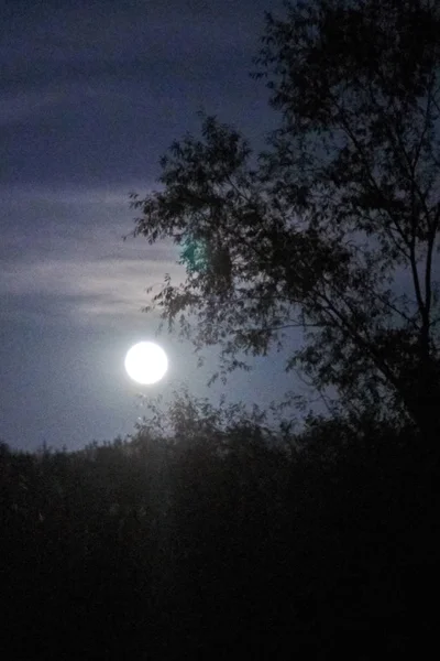 Malerischer Blick Auf Die Nacht Natur Landschaft — Stockfoto