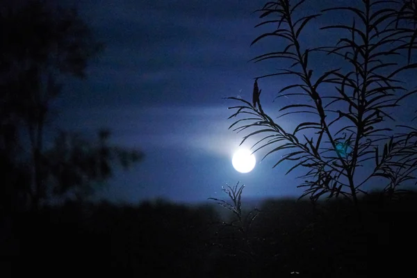 Живописный Вид Ночной Пейзаж — стоковое фото