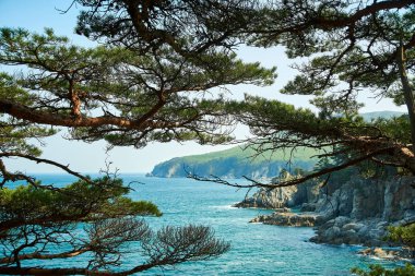 Ağaçların dalları arasından deniz manzarası