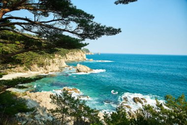 Ağaçların dalları arasından deniz manzarası