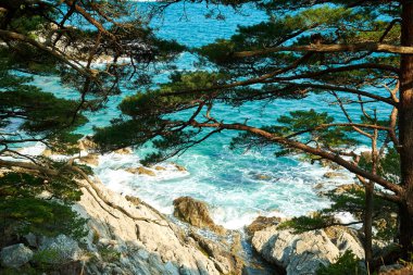 Ağaçların dalları arasından deniz manzarası