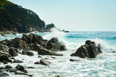 Denizin dalgalarının manzarası.