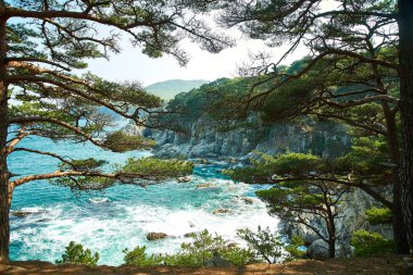 Ağaçların dalları arasından deniz manzarası