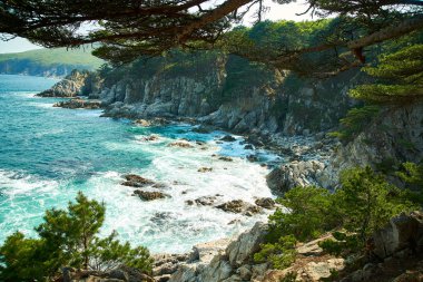 Ağaçların dalları arasından deniz manzarası