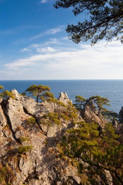 Deniz ve ağaçlarla dolu güzel bir manzara.
