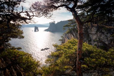 Deniz ve ağaçlarla dolu güzel bir manzara.