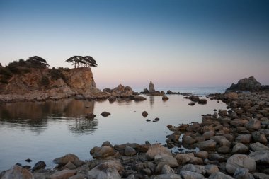 Deniz ve ağaçlarla dolu güzel bir manzara.