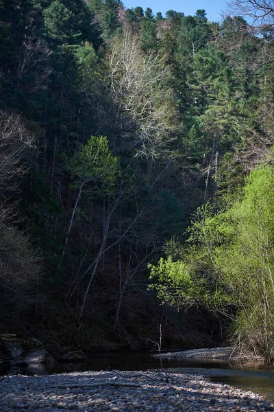 Vackert Höstlandskap Med Älv Och Träd — Stockfoto