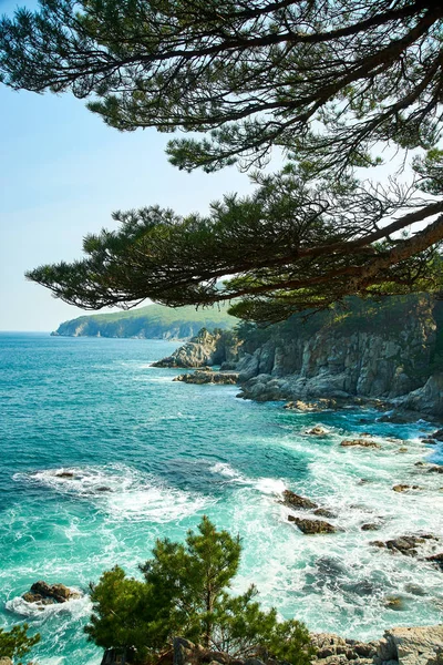 Vue Sur Mer Travers Les Branches Des Arbres — Photo