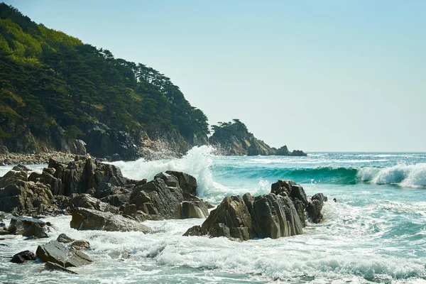 Scenic View Waves Sea — Stock Photo, Image