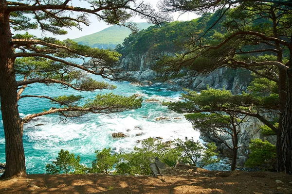 透过树枝的海景 — 图库照片