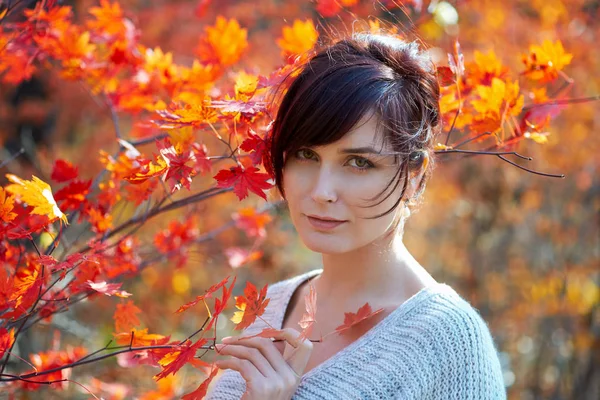 Retrato Una Hermosa Chica Entre Hojas Arce Naranja — Foto de Stock