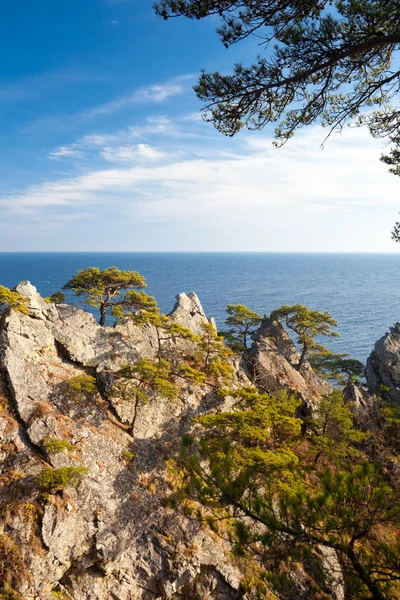 美しい海と木の風景 — ストック写真