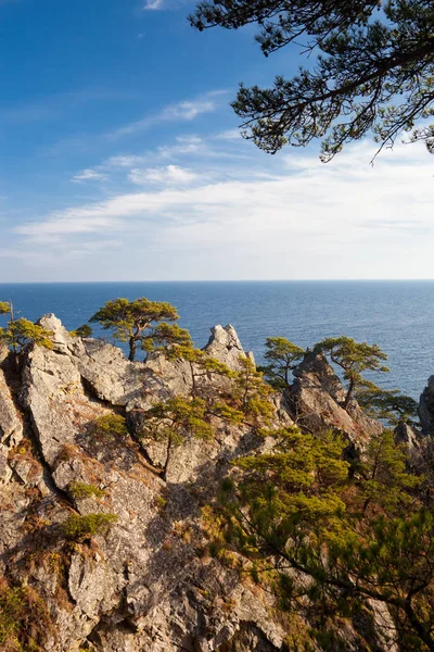 Deniz Ağaçlarla Dolu Güzel Bir Manzara — Stok fotoğraf