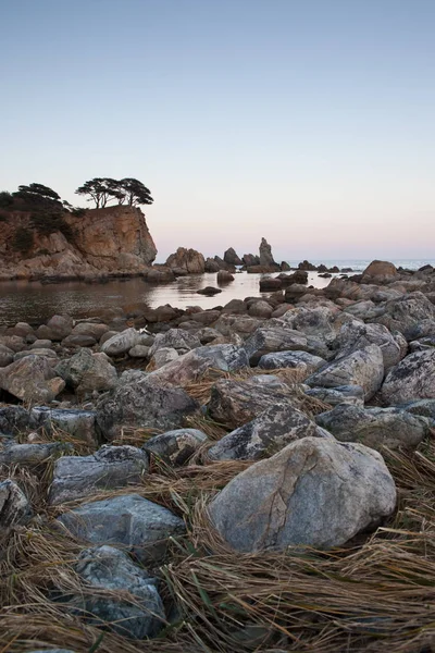 Deniz Ağaçlarla Dolu Güzel Bir Manzara — Stok fotoğraf