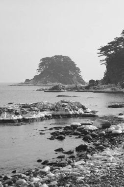 Kayalık Beach doğal görünümü 